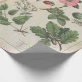 Reproductie van Britse botanische kunst Cadeaupapier (Hoek)