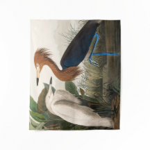 Reproductie van Paarse reiger, 1835 Bord CCLVI