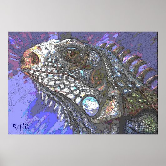 Reptiel 3 poster (Voorkant)