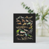 Reptiel Collage Hagedis Gecko Baardagaam Briefkaart (Staand voorkant)