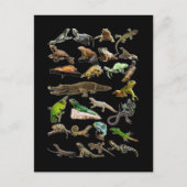 Reptiel Collage Hagedis Gecko Baardagaam Briefkaart (Voorkant)