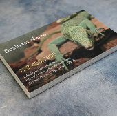 Reptiel Cool Lizard Live Pet Visitekaartje