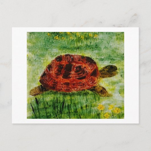 Reptiel Dierschilderij Schildpad Briefkaart (Voorkant)