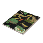 Reptiel, Hagedissen & Amfibieën Naadloos Patroon Tegeltje (Zijkant)