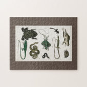 Reptiel, schattig, hagedis, dier, reptielen, schil legpuzzel (Horizontaal)