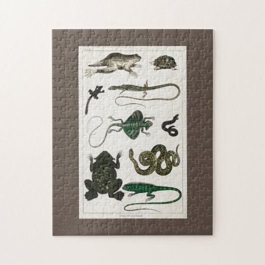 Reptiel, schattig, hagedis, dier, reptielen, schil legpuzzel (Verticaal)