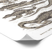 Reptiele  druk op natuurlijke geschiedenis poster (Hoek)