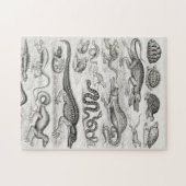 Reptielen Alligators Legpuzzel (Horizontaal)