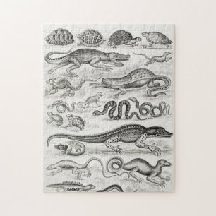Reptielen Alligators Legpuzzel