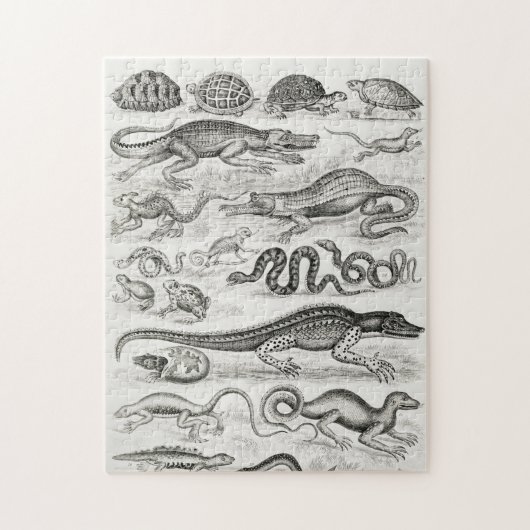 Reptielen Alligators Legpuzzel (Verticaal)