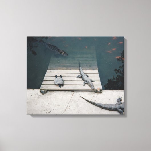 Reptielen Basking Canvas Afdruk (Voorkant)