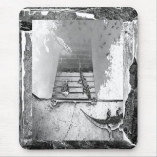 Reptielen Basking Muismat