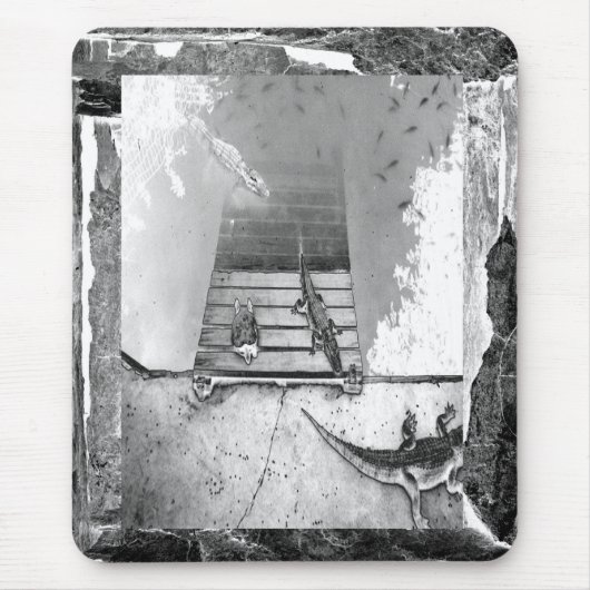 Reptielen Basking Muismat (Voorkant)