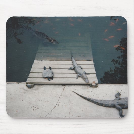 Reptielen Basking Muismat (Voorkant)