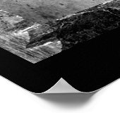 Reptielen Basking Poster (Hoek)