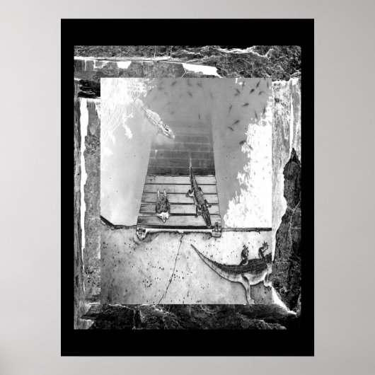 Reptielen Basking Poster (Voorkant)