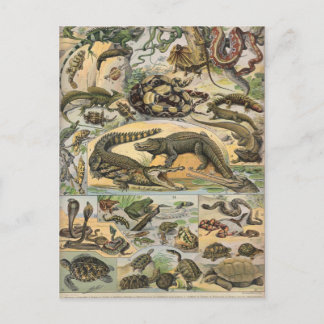 Reptielen Briefkaart