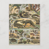 Reptielen Briefkaart (Voorkant)