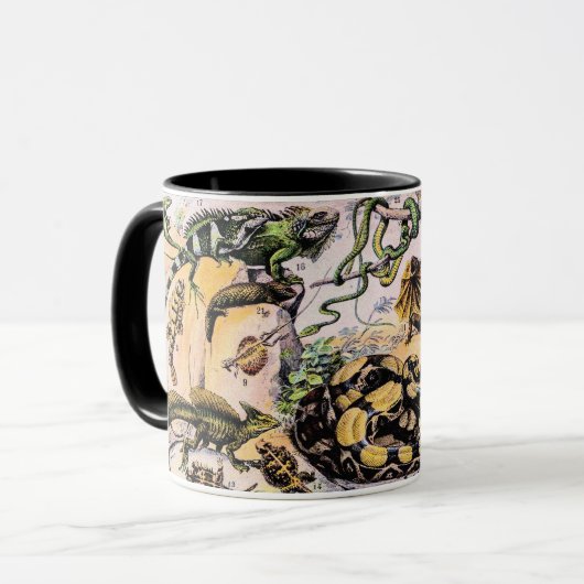  reptielen door Adolphe Millot Mok (Voorkant links)