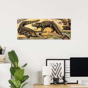 reptielen door Adolphe Millot Poster