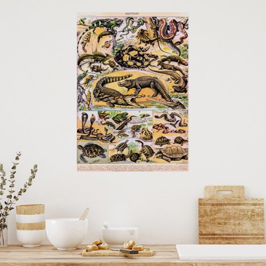  reptielen door Adolphe Millot Poster (Keuken)