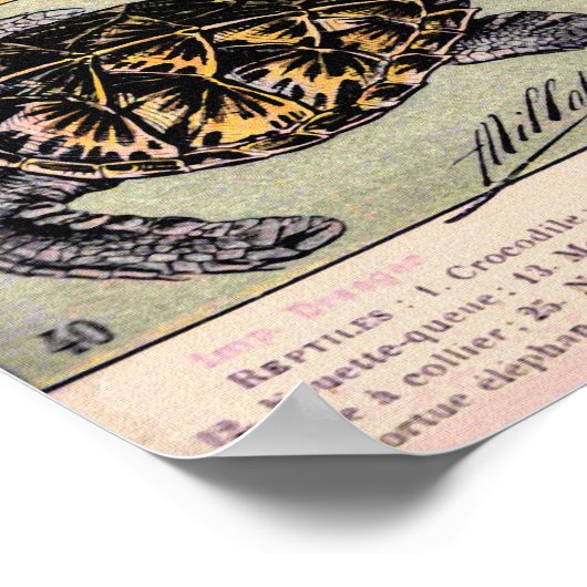  reptielen door Adolphe Millot Poster (Hoek)