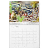 Reptielen en amfibieën 2021 door Chris Milligan Kalender (Mar 2026)