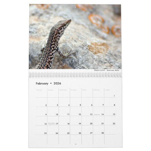 Reptielen en amfibieën 2021 door Chris Milligan Kalender (Feb 2026)