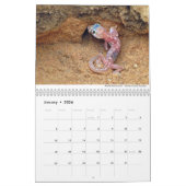 Reptielen en amfibieën 2021 door Chris Milligan Kalender (Jan 2026)