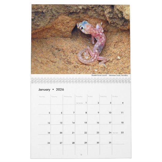 Reptielen en amfibieën 2021 door Chris Milligan Kalender (Jan 2026)