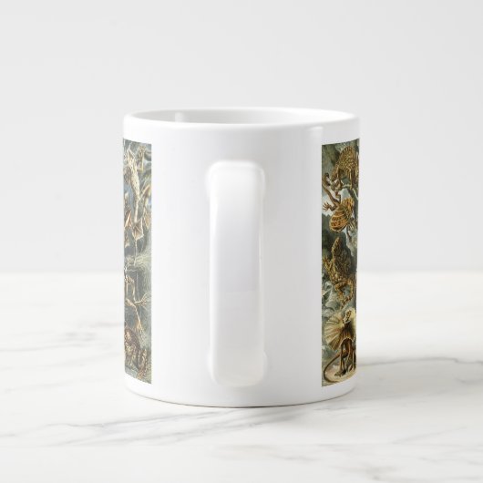  reptielen en amfibieën door Ernst Haeckel Grote Koffiekop (Achterkant)