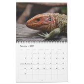 Reptielen en slangen Agenda Kalender (Feb 2027)