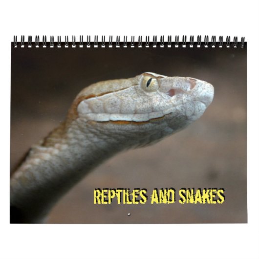 Reptielen en slangen Agenda Kalender (Hoes)