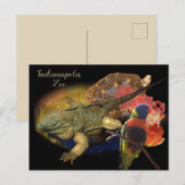 Reptielen en vogels uit de dierentuin van Indianap Briefkaart (Voorkant / Achterkant)