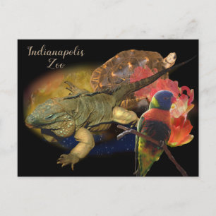 Reptielen en vogels uit de dierentuin van Indianap Briefkaart