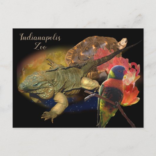 Reptielen en vogels uit de dierentuin van Indianap Briefkaart (Voorkant)