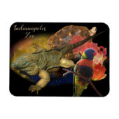 Reptielen en vogels uit de dierentuin van Indianap Magneet (Horizontaal)