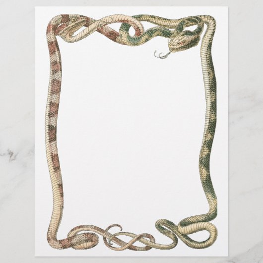  reptielen, getwijnde slangen of vloerbedekking flyer (Voorkant)