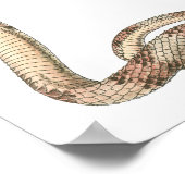  reptielen, getwijnde slangen of vloerbedekking poster (Hoek)