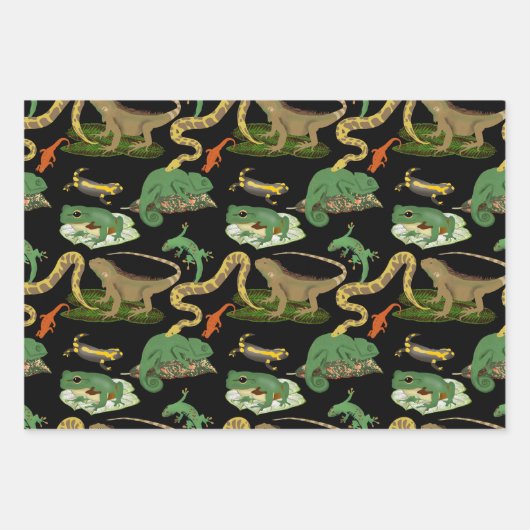 Reptielen, hagedissen en amfibieën patroon inpakpapier vel (Voorkant)