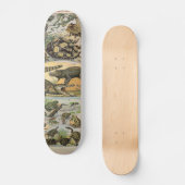 Reptielen Persoonlijk Skateboard (Voorkant)