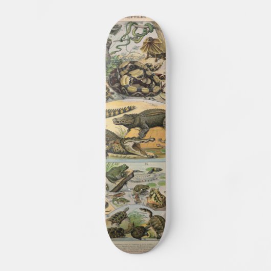 Reptielen Persoonlijk Skateboard (Voorkant)