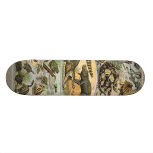 Reptielen Persoonlijk Skateboard