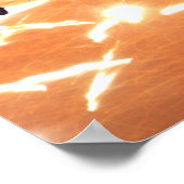 Reptielen Poster (Hoek)