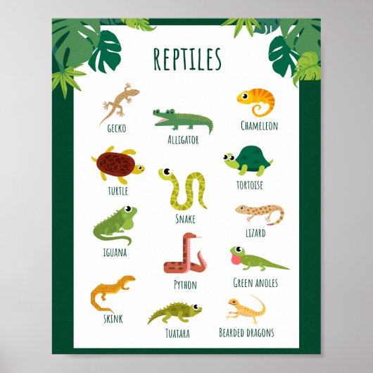 Reptielen School Onderwijs Leren Poster (Voorkant)