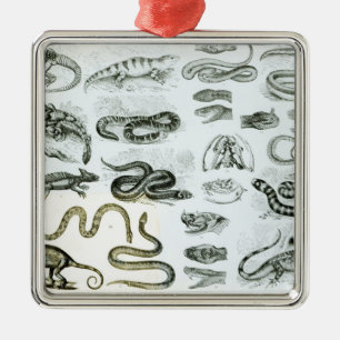 Reptielen, serpenten en luiken metalen ornament