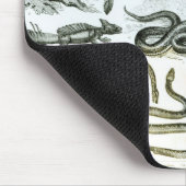 Reptielen, serpenten en luiken muismat (Hoek)