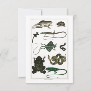 reptielen slangenhagedis RSVP kaartje