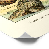 reptielen van Adolphe Millot Poster (Hoek)