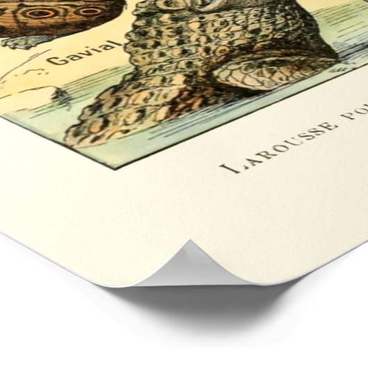  reptielen van Adolphe Millot Poster (Hoek)